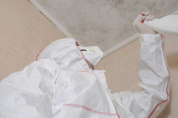 Best Mold Remediation Experts  in Fort Morgan, CO